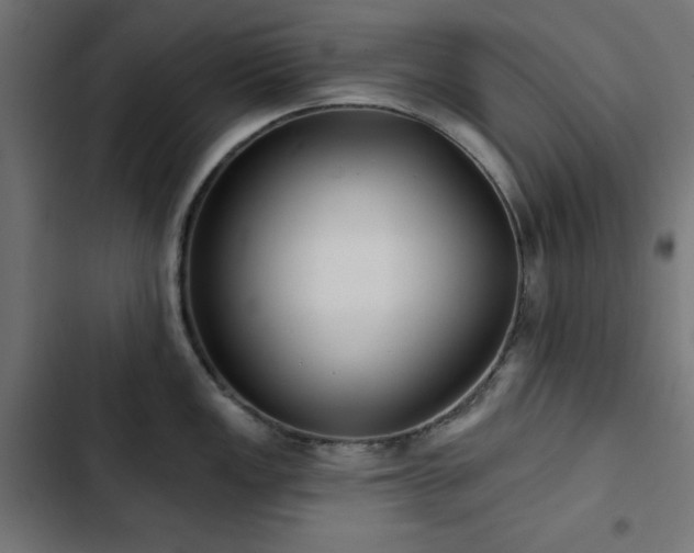 X0000103491149200809121708