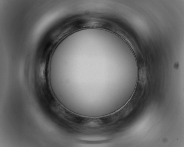 X0000103491150200809121708