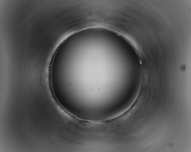 X0000103491151200809121709