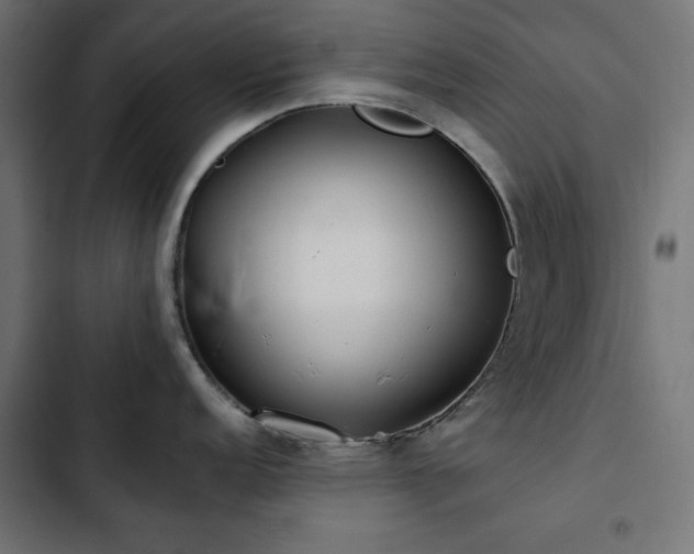 X0000103491152200809121709