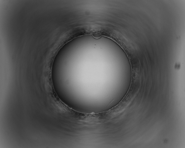 X0000103491153200809121708