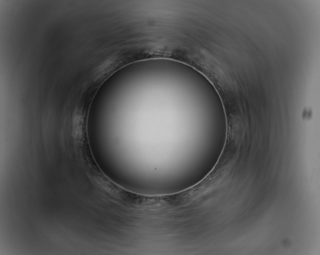 X0000103491154200809121708