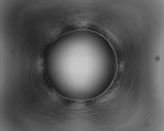 X0000103491156200809121708