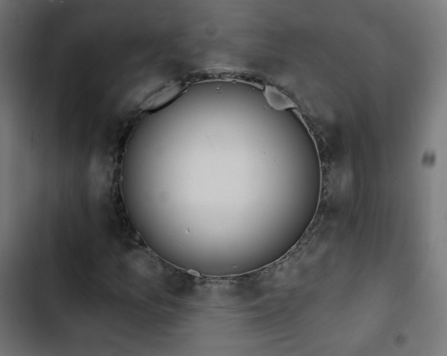 X0000103491157200809121708