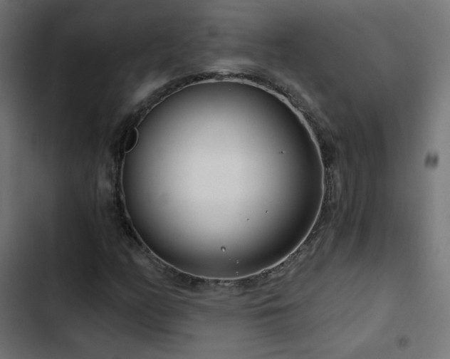 X0000103491158200809121708