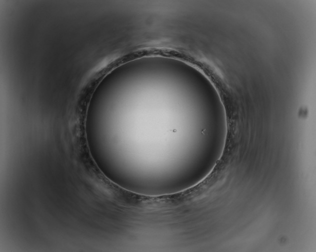 X0000103491159200809121708