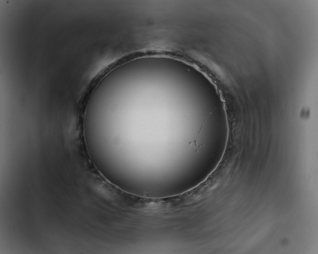 X0000103491160200809121708