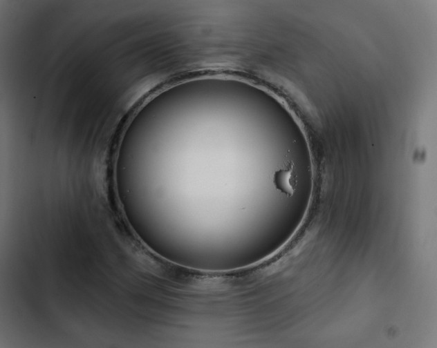 X0000103491162200809121708