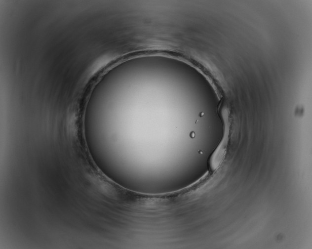 X0000103491163200809121708