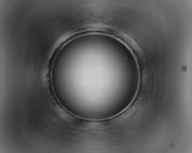 X0000103491164200809121708