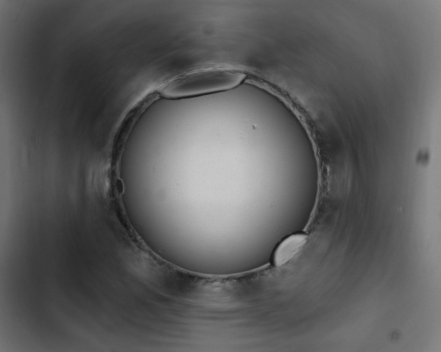 X0000103491165200809121708