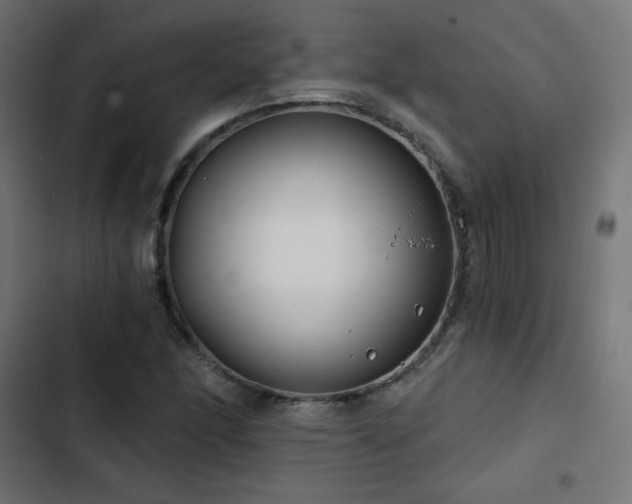 X0000103491166200809121708