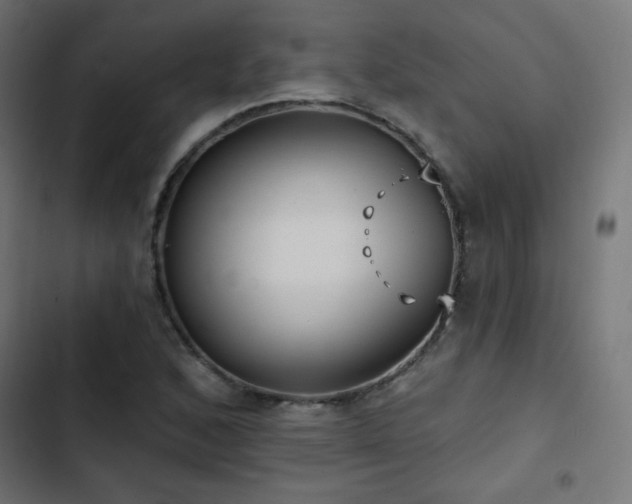 X0000103491168200809121707