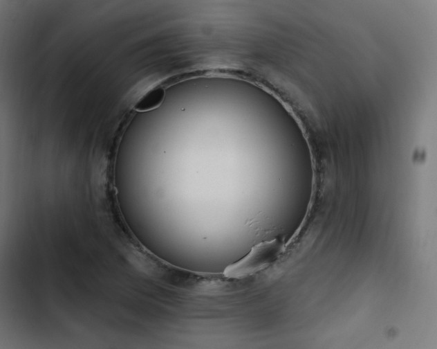 X0000103491169200809121707