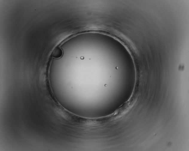 X0000103491170200809121707