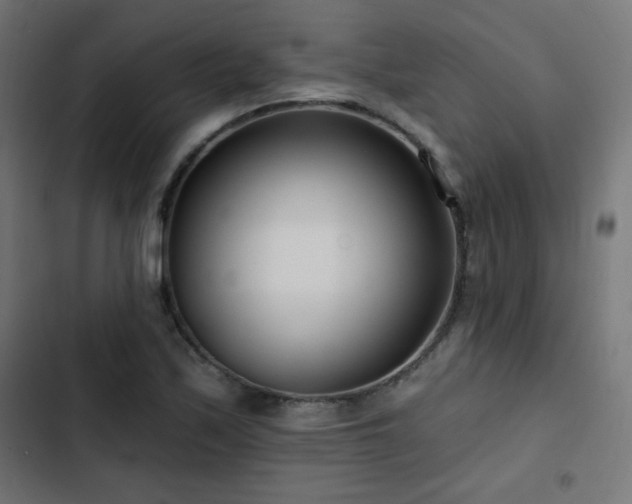 X0000103491171200809121707