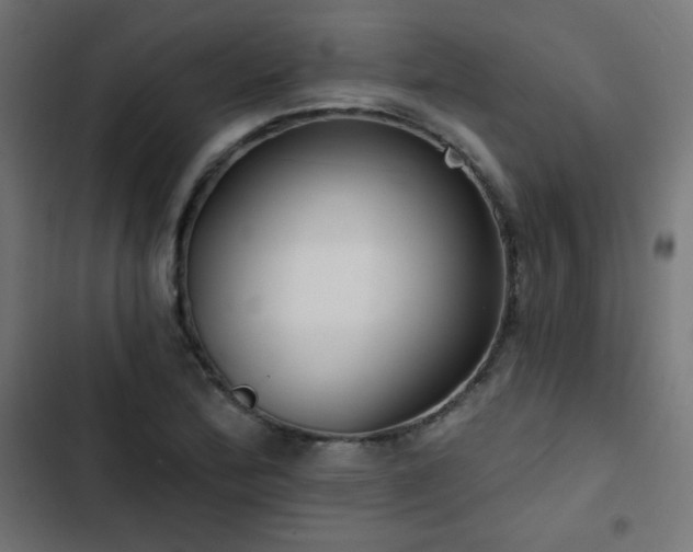 X0000103491172200809121707