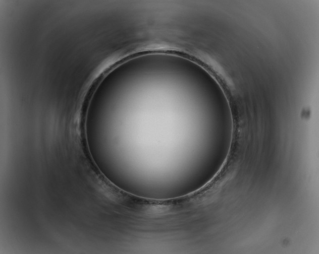 X0000103491173200809121707