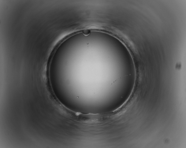 X0000103491174200809121707