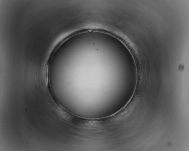 X0000103491175200809121707