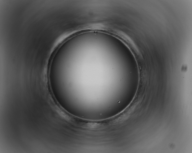 X0000103491176200809121707