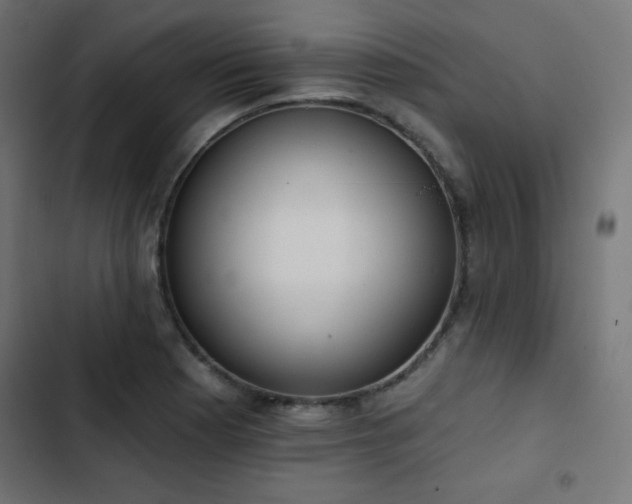 X0000103491177200809121707