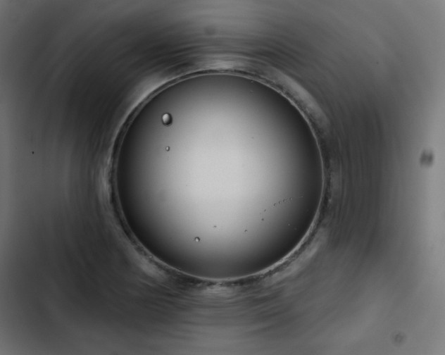 X0000103491178200809121707