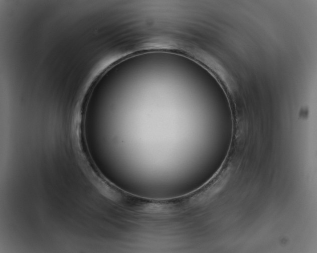 X0000103491179200809121707