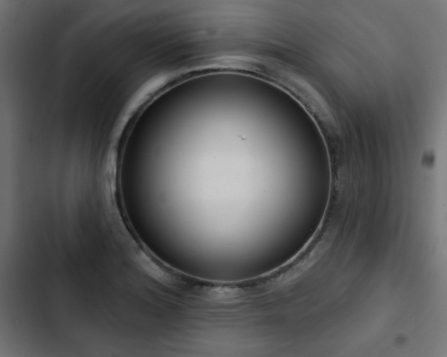 X0000103491180200809121707