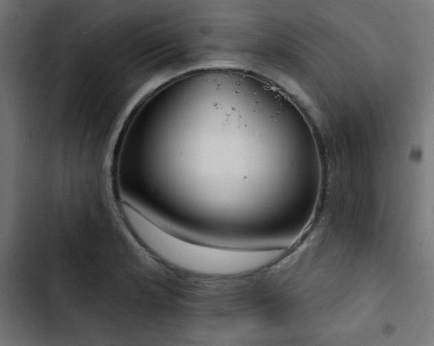 X0000103491181200809121707