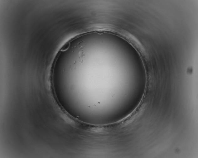 X0000103491182200809121707