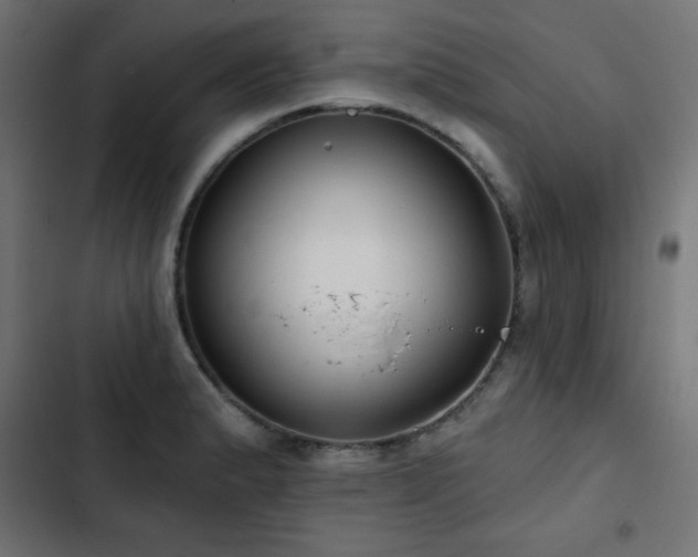 X0000103491183200809121707