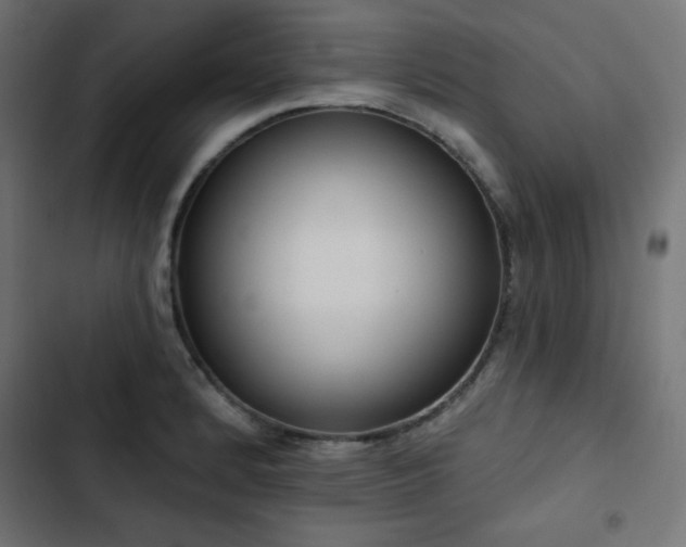 X0000103491184200809121707