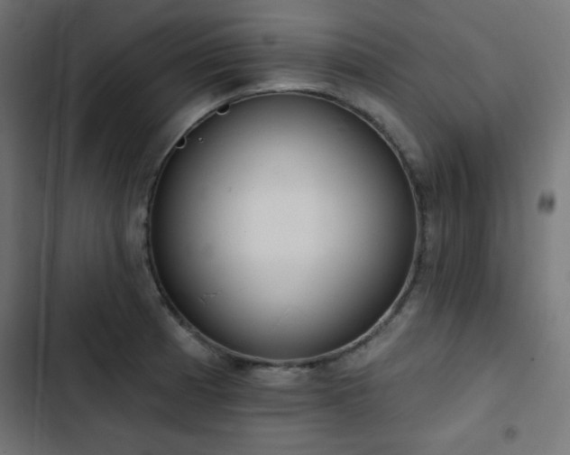 X0000103491185200809121707