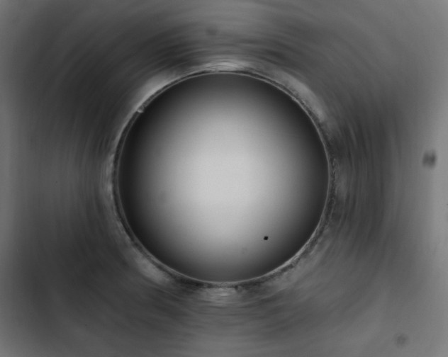 X0000103491186200809121707