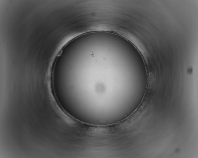 X0000103491187200809121707