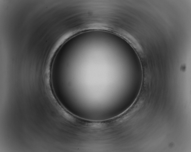 X0000103491188200809121707