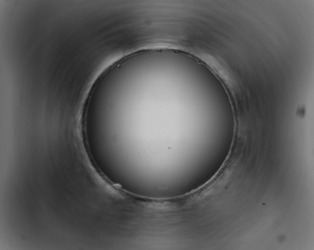 X0000103491189200809121707