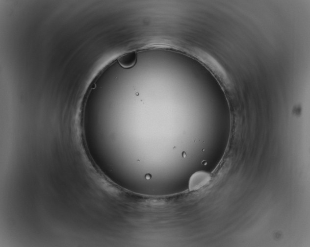 X0000103491190200809121707