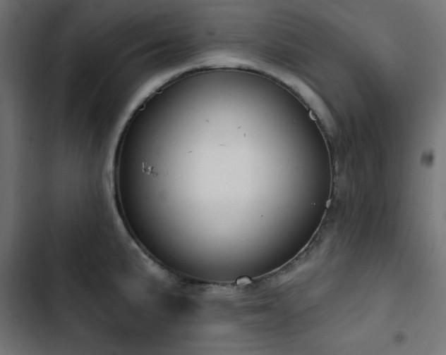 X0000103491191200809121707