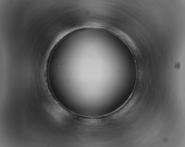 X0000103491192200809121707