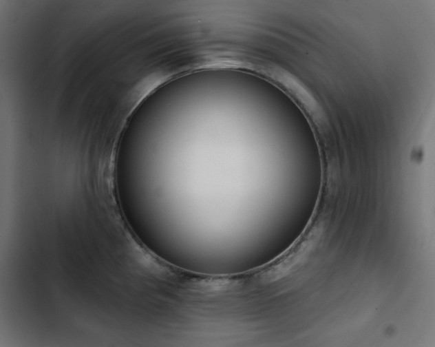 X0000103491193200809121707