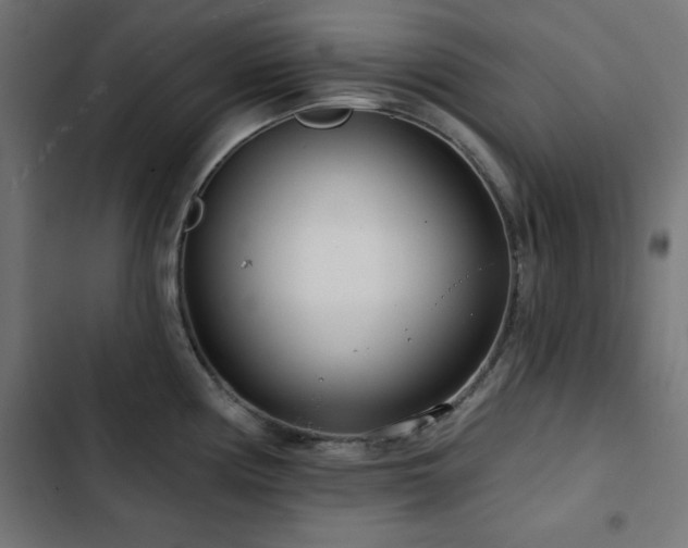 X0000103491194200809121707