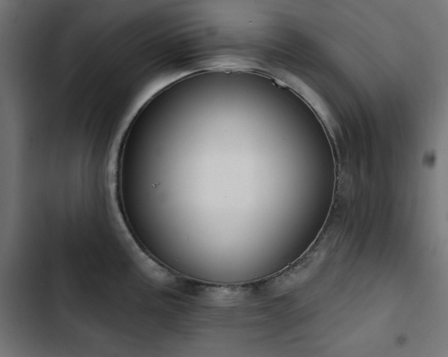 X0000103491195200809121707