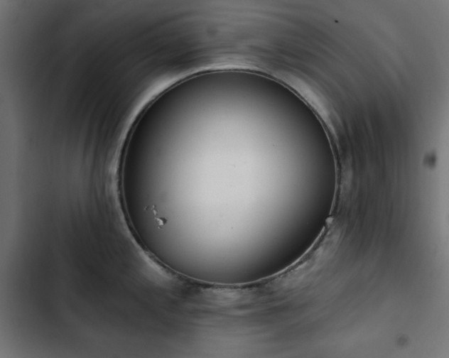 X0000103491197200809121707