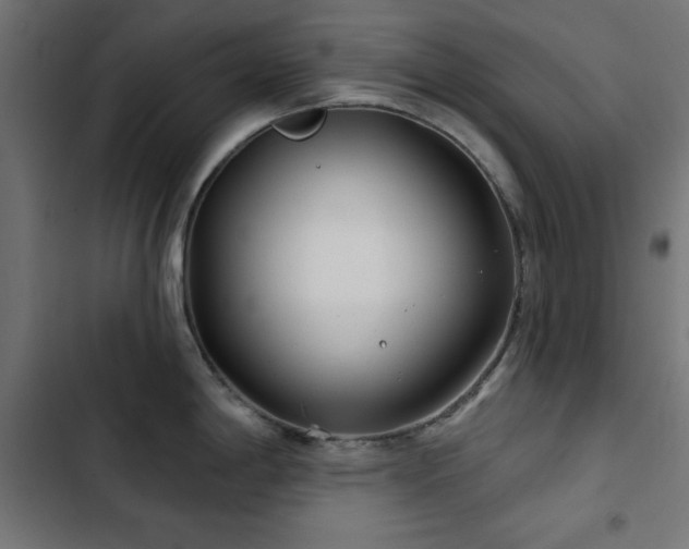 X0000103491198200809121707