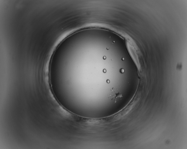 X0000103491199200809121707