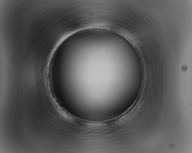 X0000103491200200809121707