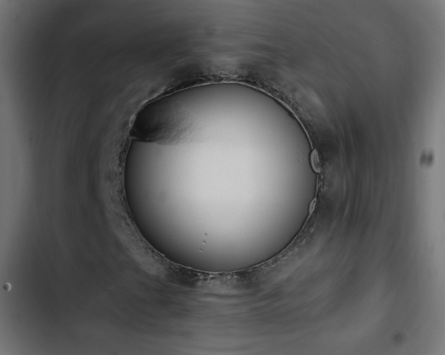 X0000103491201200809121706