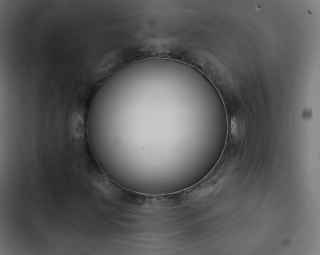 X0000103491203200809121706